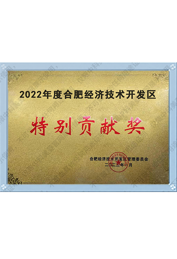 2022年度合肥经济手艺开发区特殊孝顺奖