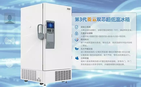新闻动态 - 信息果真 - 壹号娱乐