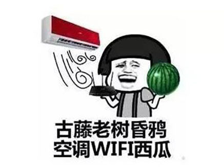 壹号娱乐 - NG大舞台,有梦你就来