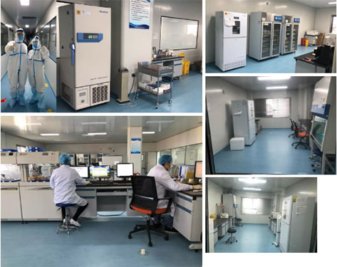 低温冰箱_PCR实验室建设